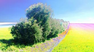 Elisabeth Mayr-Keber April 120x65cm 2016