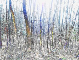 Elisabeth Mayr-Keber Samstagvormittag 2016 120x90cm