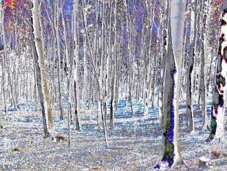 Elisabeth Mayr-Keber Samstagvormittag 2016 100x75cm