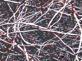 Elisabeth Mayr-Keber Samstagvormittag 2016 120x90cm