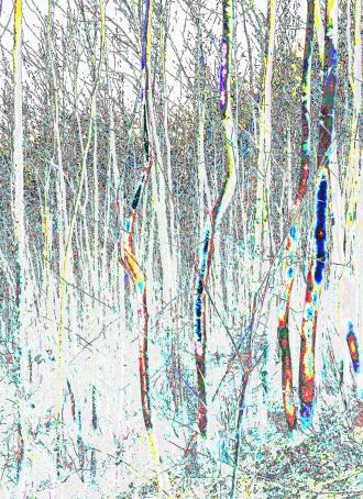 Elisabeth Mayr-Keber Samstagvormittag 2016 110x80cm