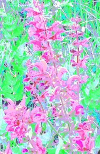 Elisabeth Mayr-Keber Im Mai 2017 100x65cm